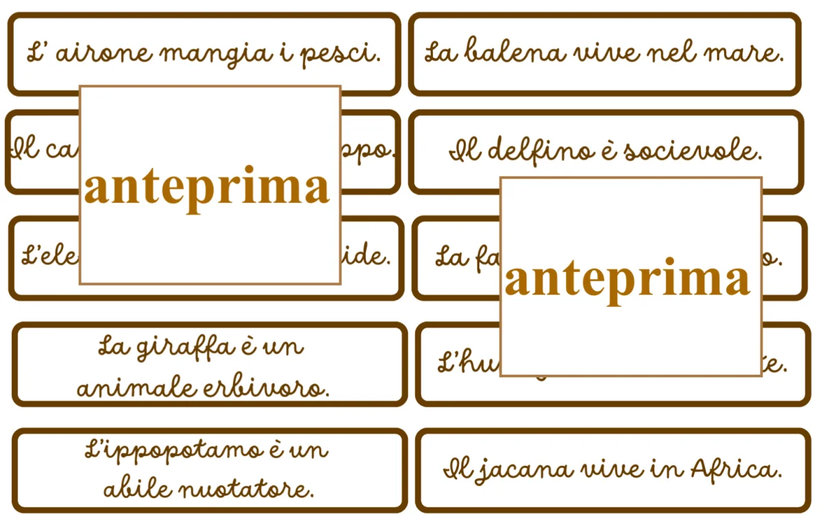 Carte dell’alfabeto degli animali con espansioni per leggere e per scrivere - immagine 6