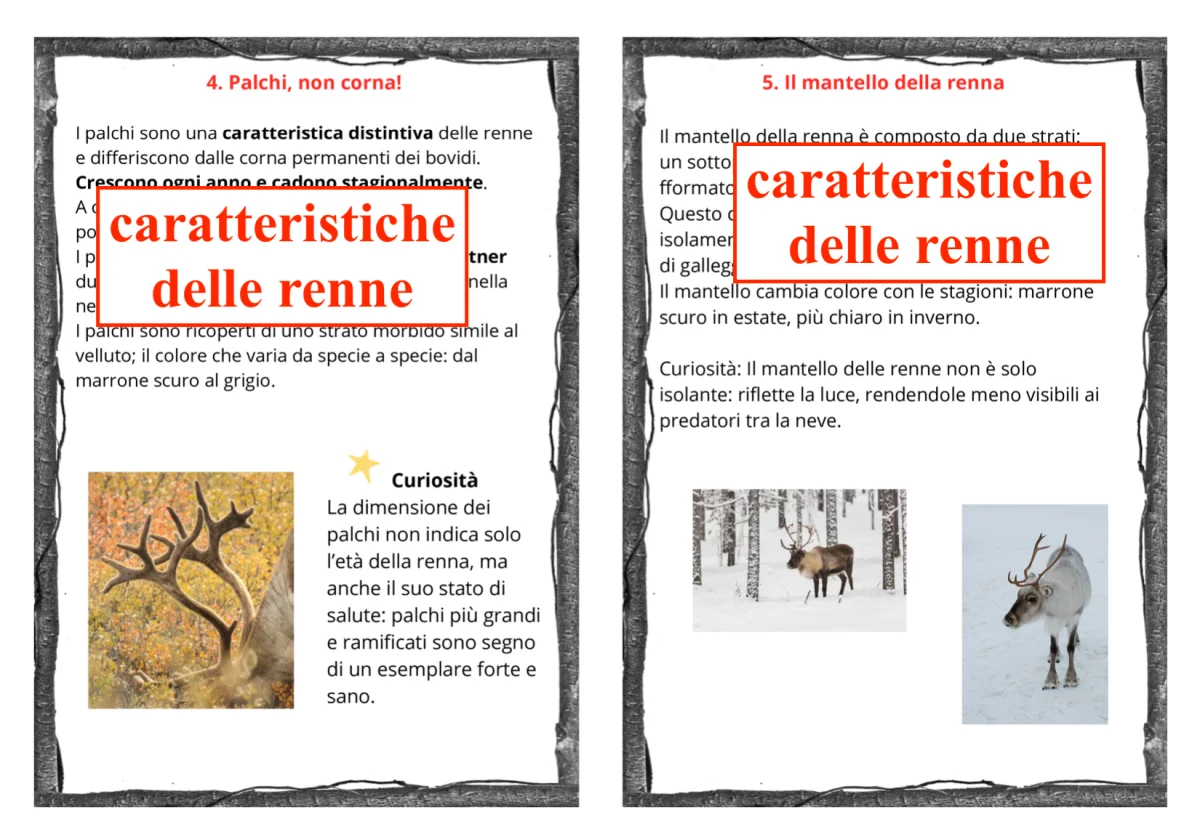 Tra natura e matematica; 11 carte per conoscere le renne con due opzioni per la didattica a stazioni(metematica/italiano) cl: III/V - immagine 6
