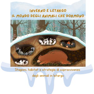 Inverno e letargo-il mondo degli animali che dormono- stagioni, habitat e strategie di sopravvivenza-classi 1-3