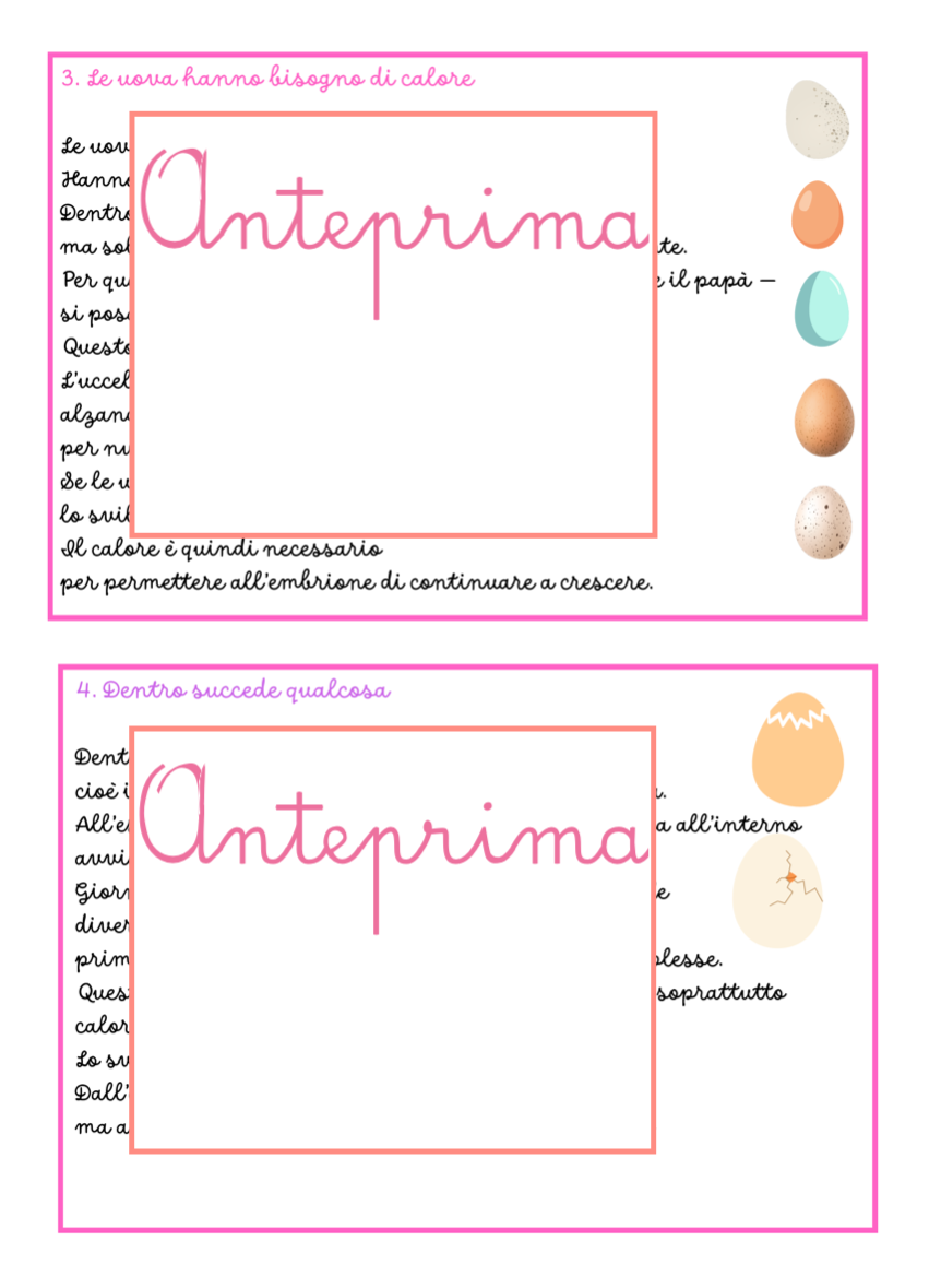 Matematica di Pasqua( e non solo) – Problemi entro il 20 con le 4 operazioni (Classe 1ª-2ª) Nidi, uova e pulcini: problemi con distrattori e pillole scientifiche - immagine 4
